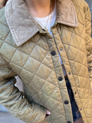 Barbour Trapuntato