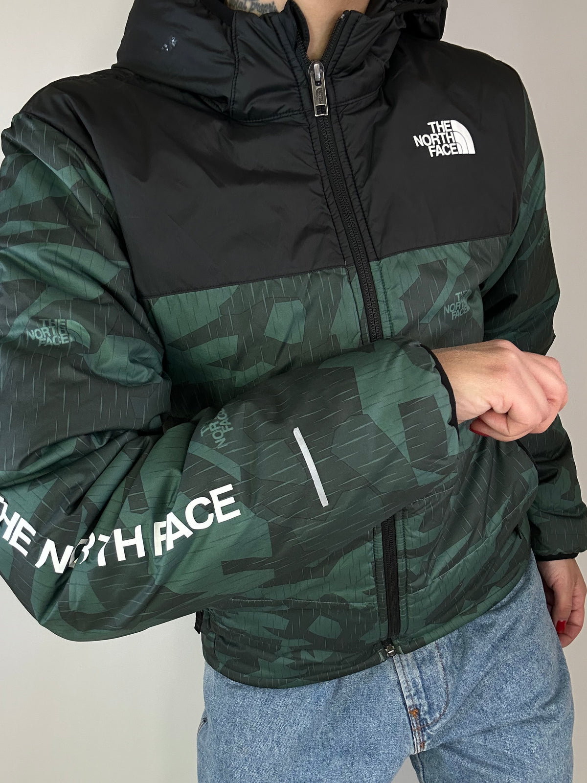 Giubbino The north Face